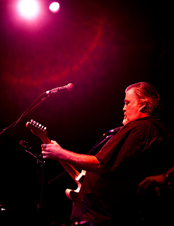 Los Lobos Performance - 26