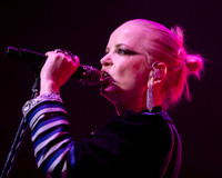 Garbage the band photos by Robert Redfield