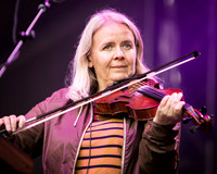 photos of Belle and Sebastian by Robert Redfield