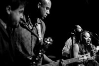 Dengue Fever