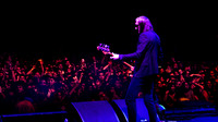 photos of Interpol by Robert Redfield