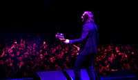 photos of Interpol by Robert Redfield