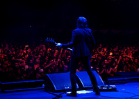 photos of Interpol by Robert Redfield