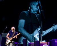 photos of The Who by Robert Redfield