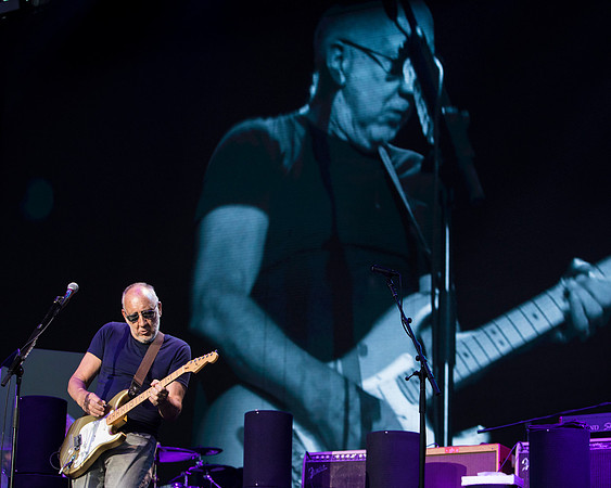photos of The Who by Robert Redfield