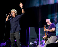 photos of The Who by Robert Redfield