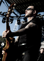 Social Distortion  (6)
