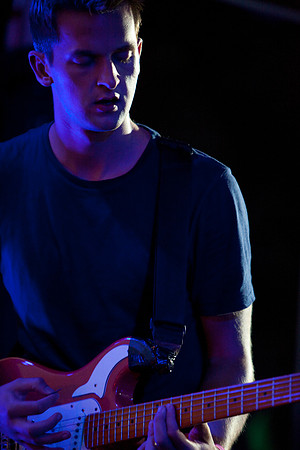 Wild Beasts
