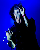 The Head and the Heart photos by Robert Redfield