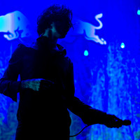 The Head and the Heart photos by Robert Redfield