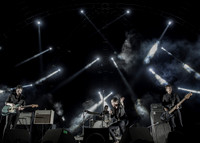 photos of Savages