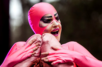 photos of Peaches by Robert Redfield