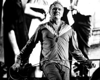 photos of Morrissey