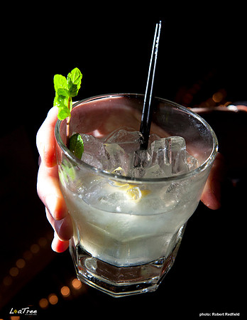 Loa Tree Lounge 2012 -003