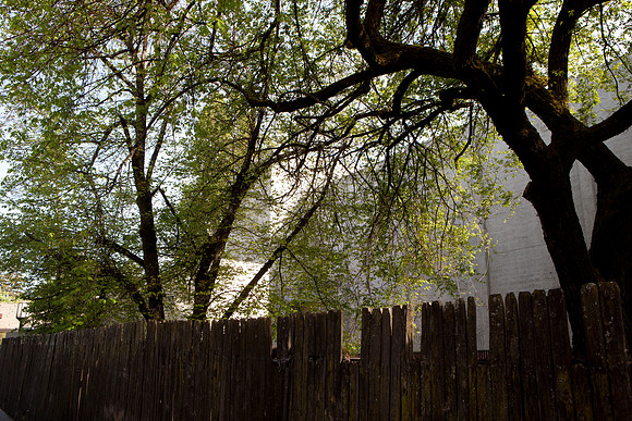 SIFF-2013  3-029