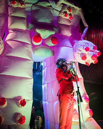 photos of The Flaming Lips by Robert Redfield