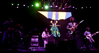 MGMT - 009