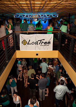 Loa Tree photos by Robert Redfield