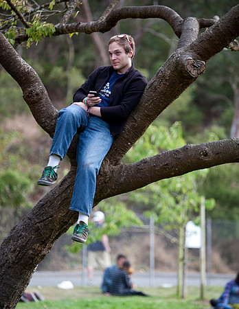 Outside Lands 2012 - 54