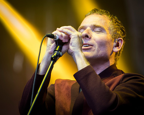 photos of Belle and Sebastian by Robert Redfield